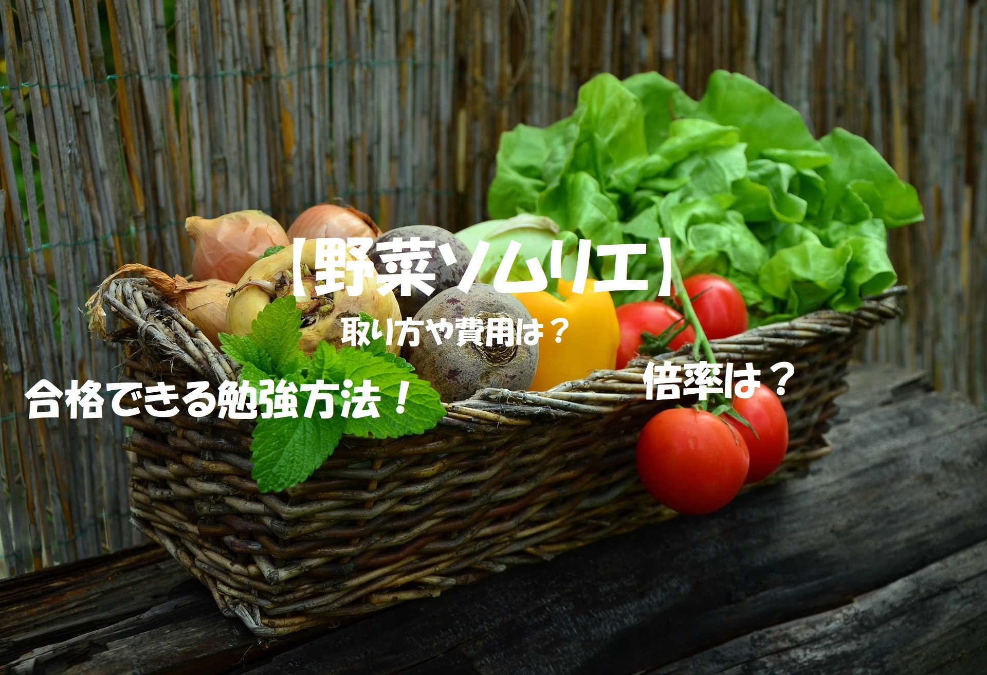 野菜ソムリエ 資格の取り方や費用は 勉強方法なども お役立ちブログ