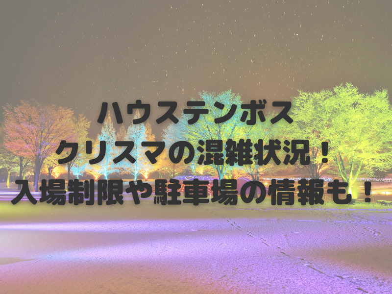 ハウステンボスのクリスマス22の混雑状況 入場制限や駐車場の情報も お役立ちブログ